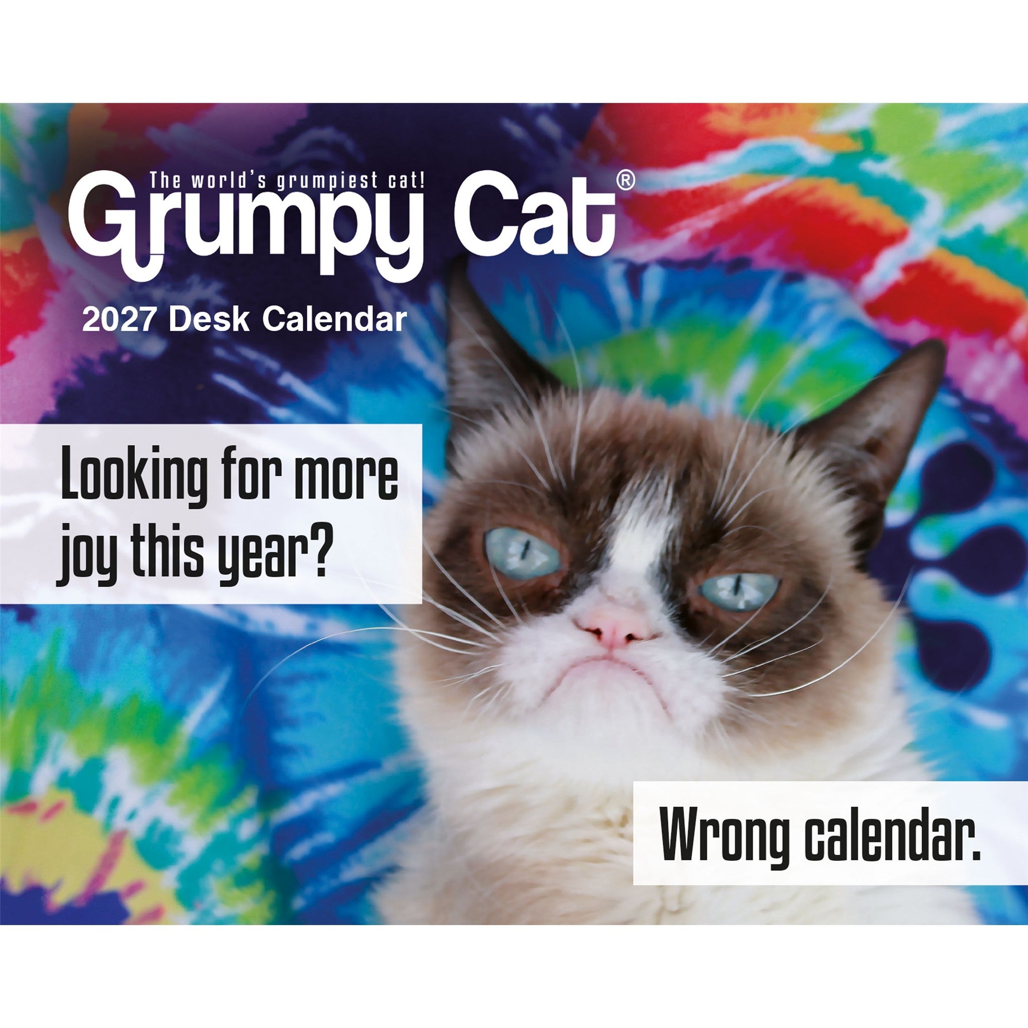 Grumpy Cat 2027 Box Calendar