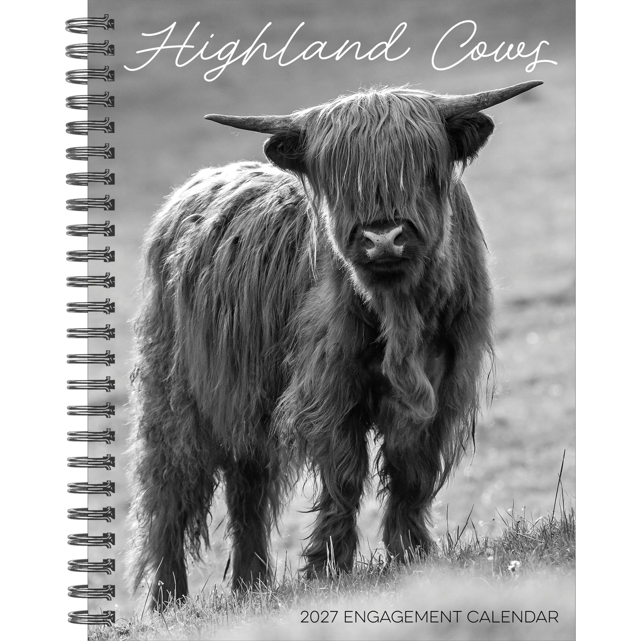 Highland Cows 2027 Engagement Calendar