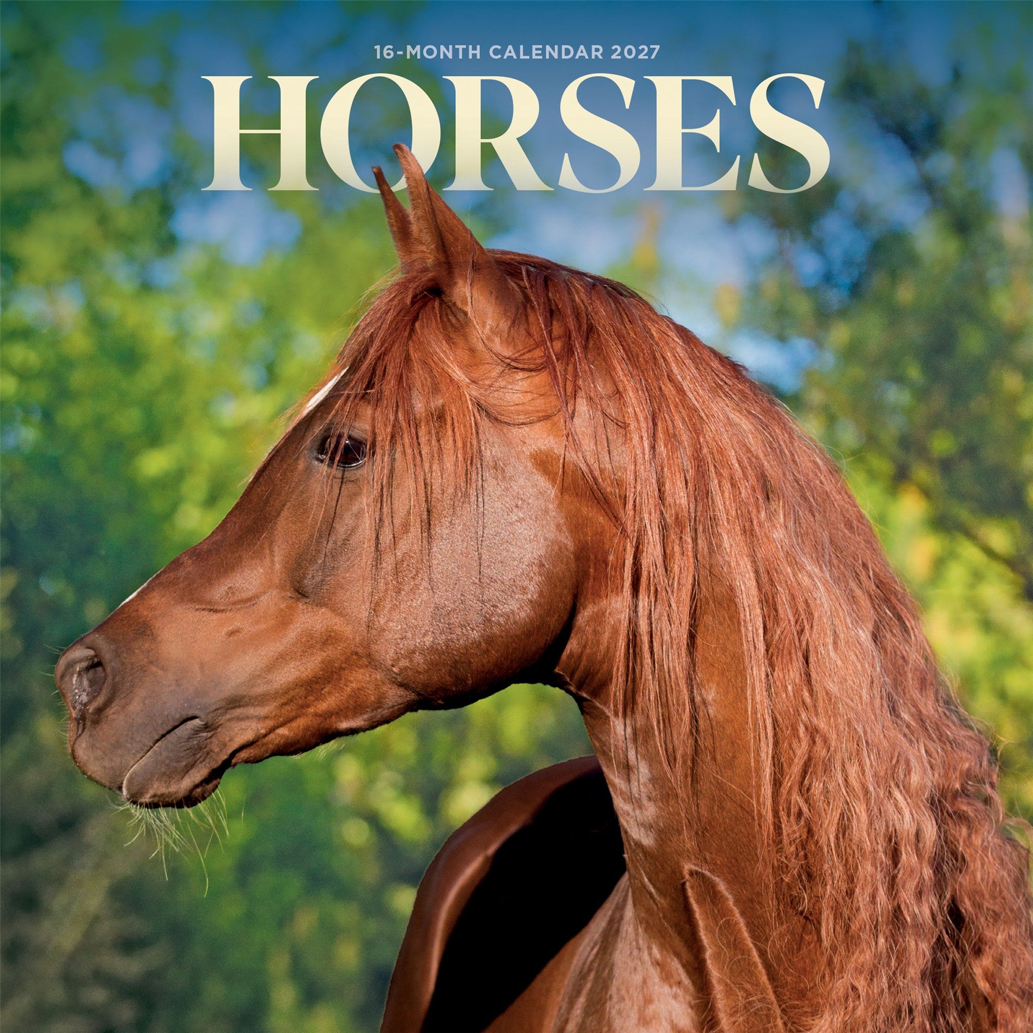 Horses 2027 Mini Calendar