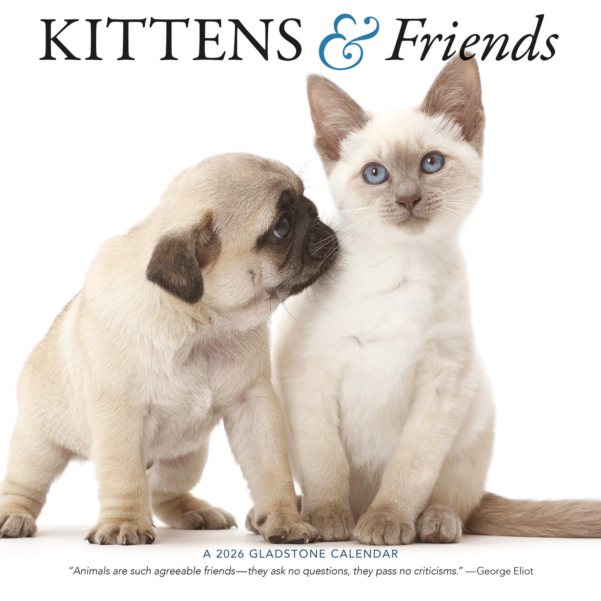 Kittens And Friends Wall  2026 Calendar