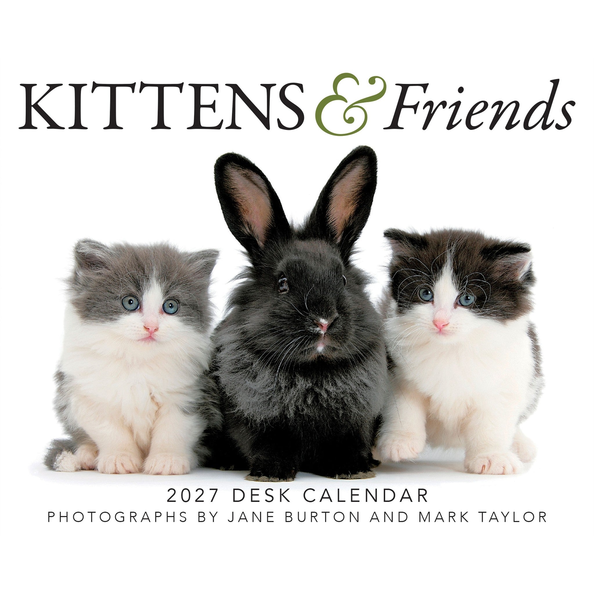 Kittens and Friends 2027 Box Calendar