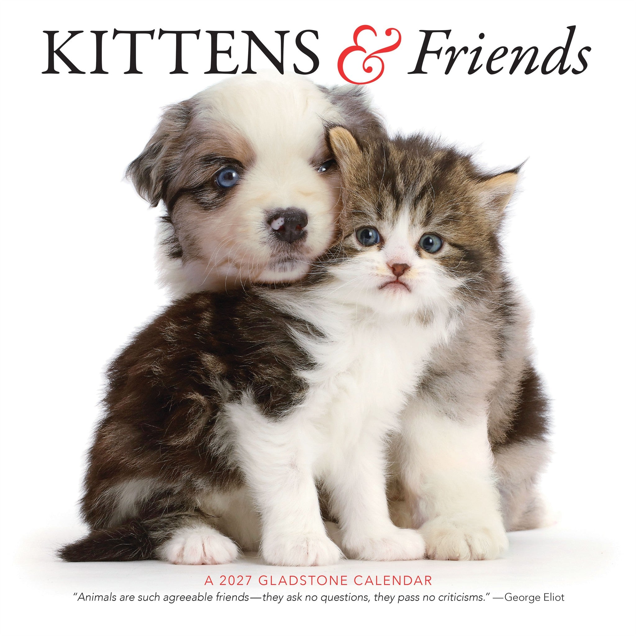 Kittens and Friends 2027 Wall Calendar