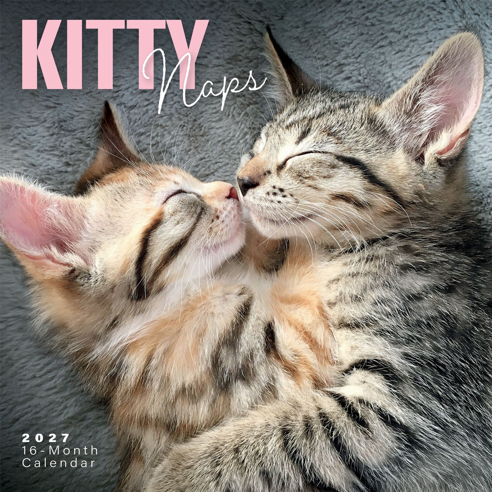 Kitty Naps 2027 Wall Calendar