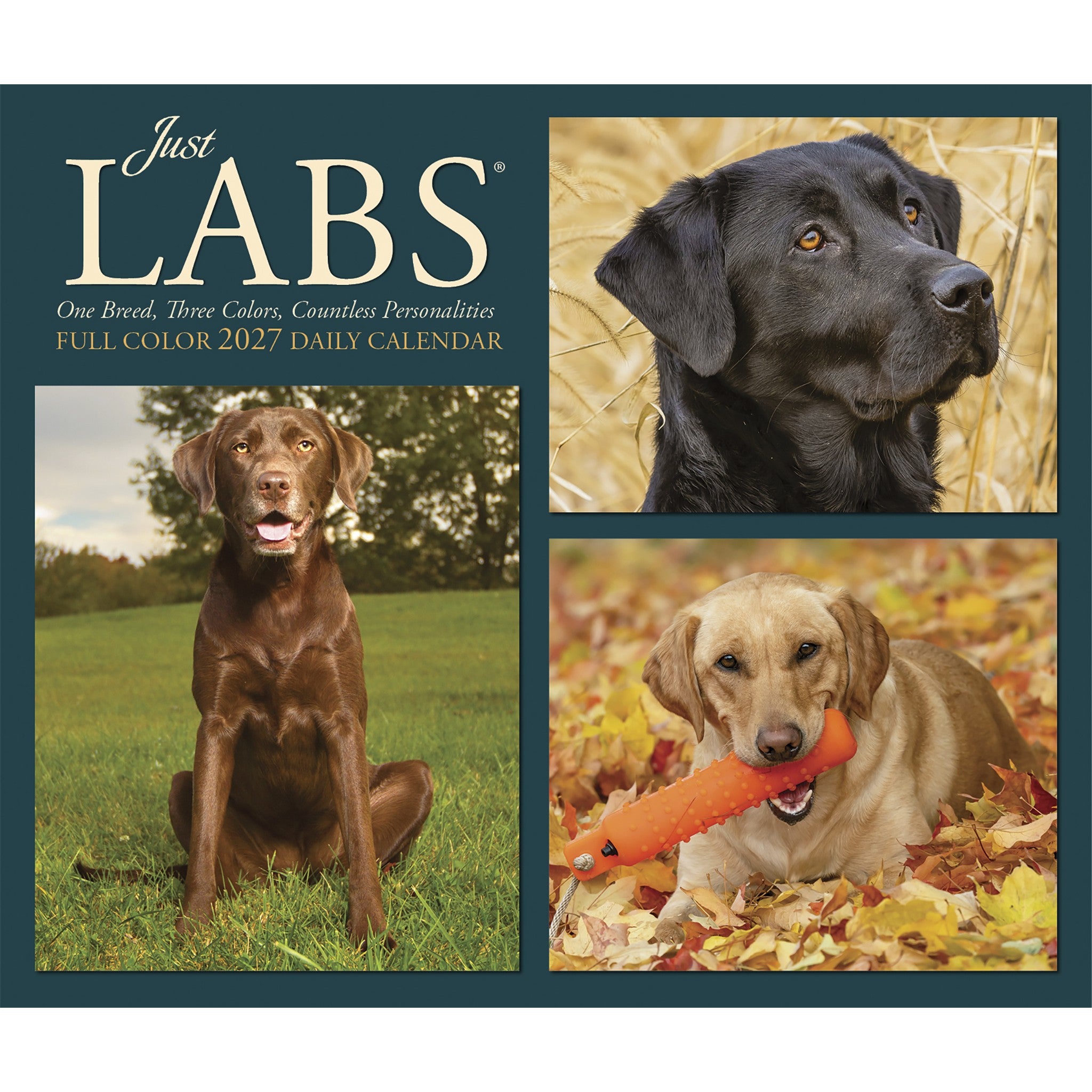 Labs 2027 Box Calendar - Online Only