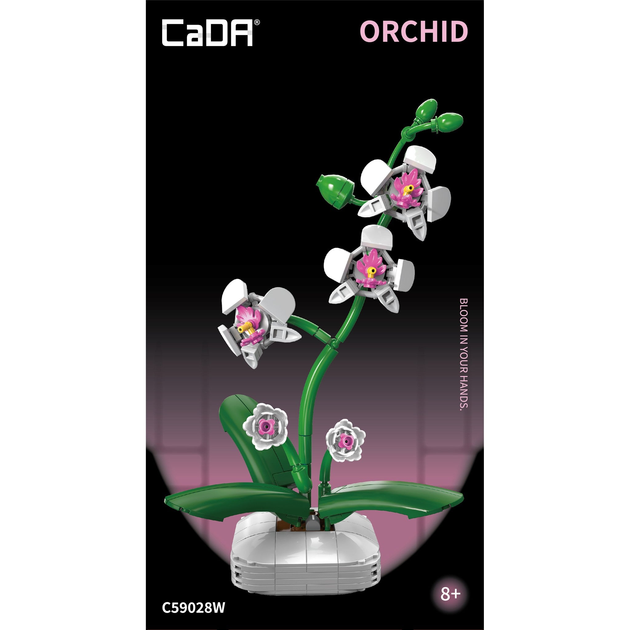 Orchid 237 Pieces
