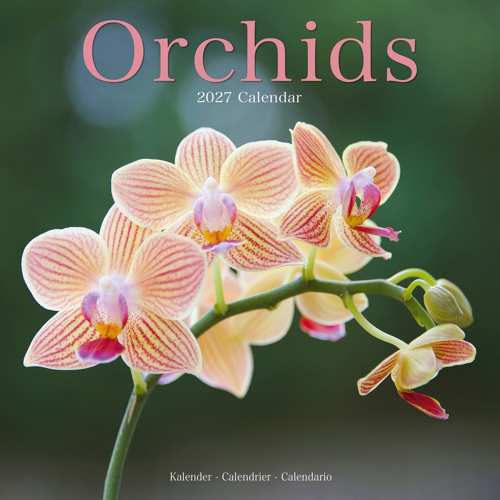 Orchids 2027 Wall Calendar