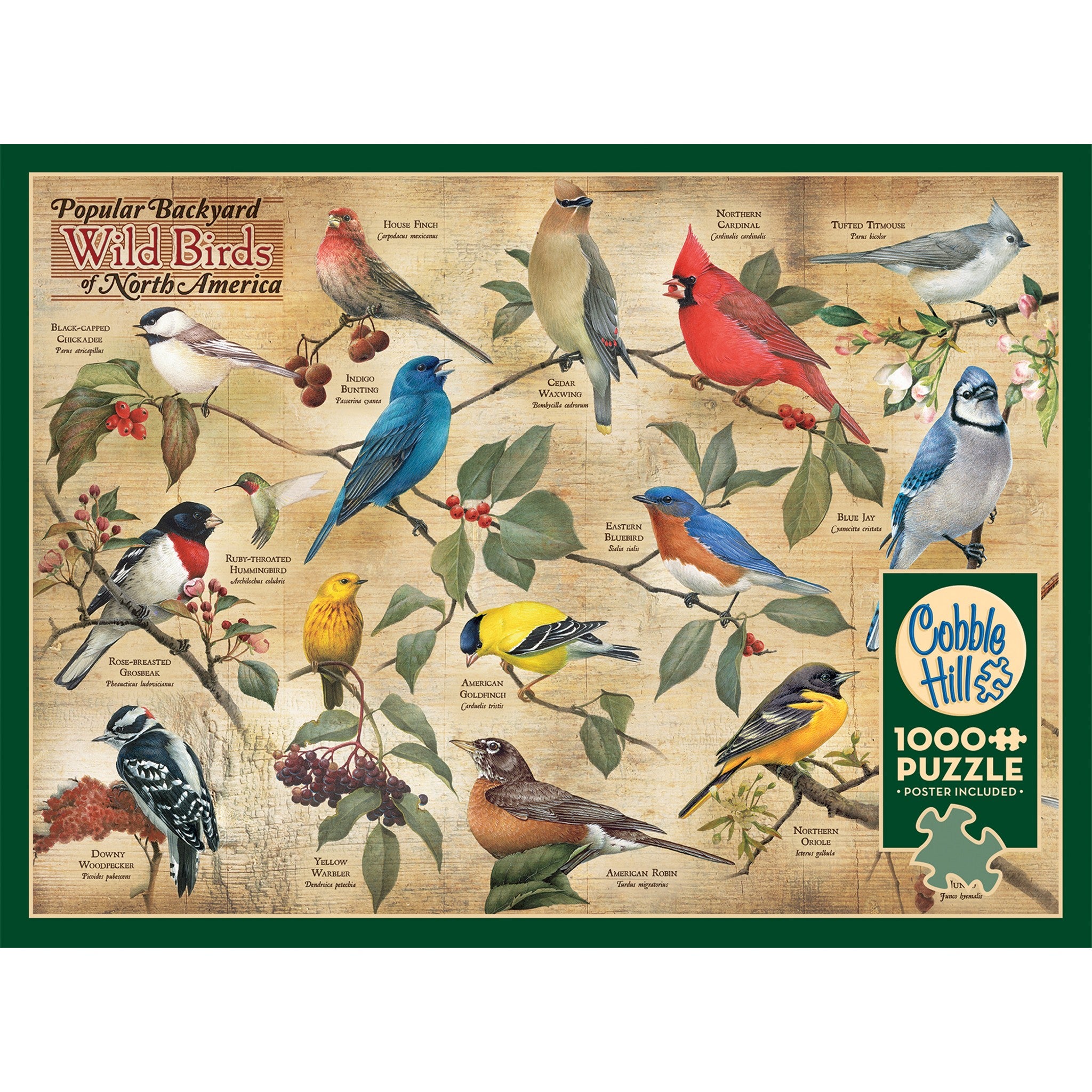 Popular Backyard Wild Birds of North America 1000 Piece Puzzle