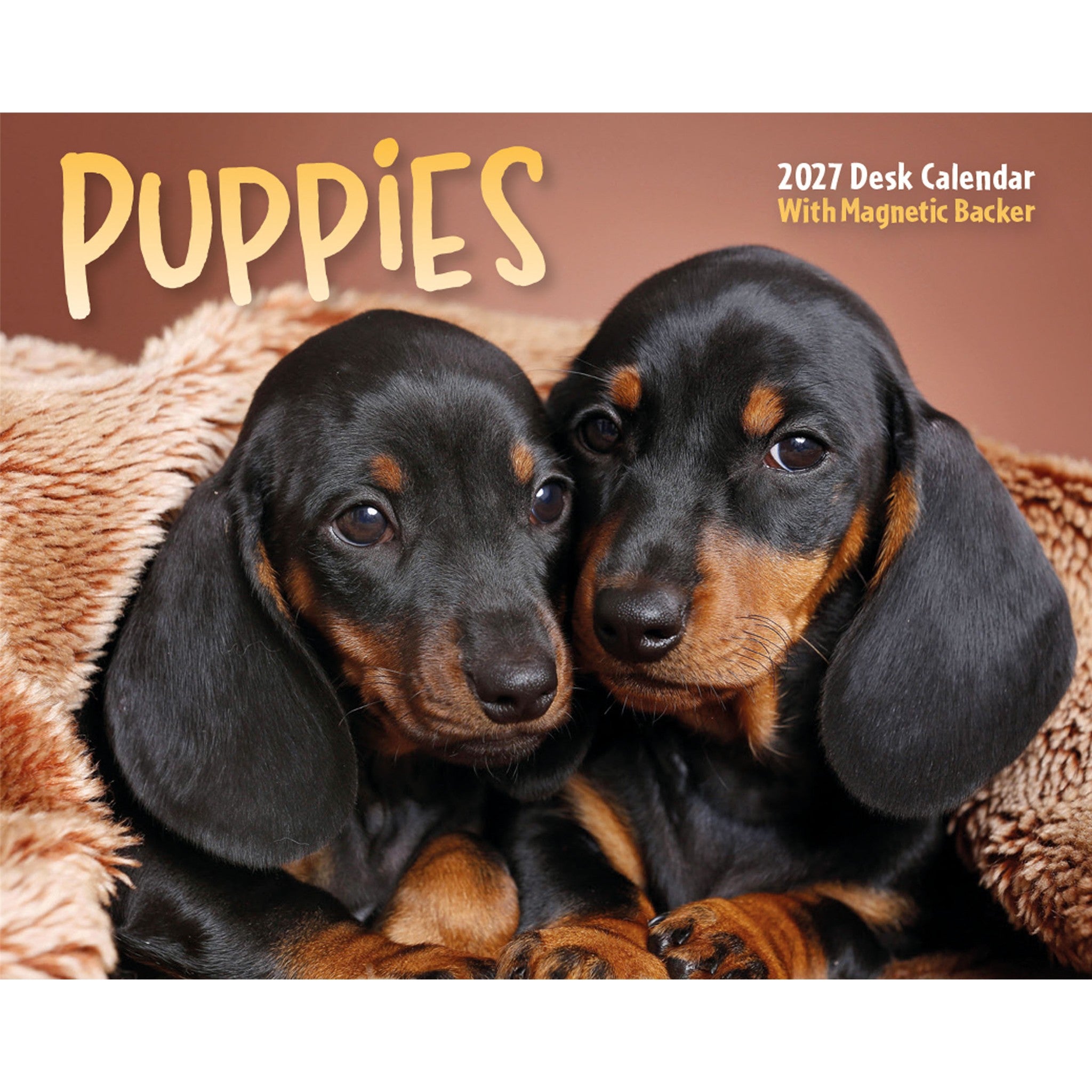 Puppies 2027 Small Box Calendar