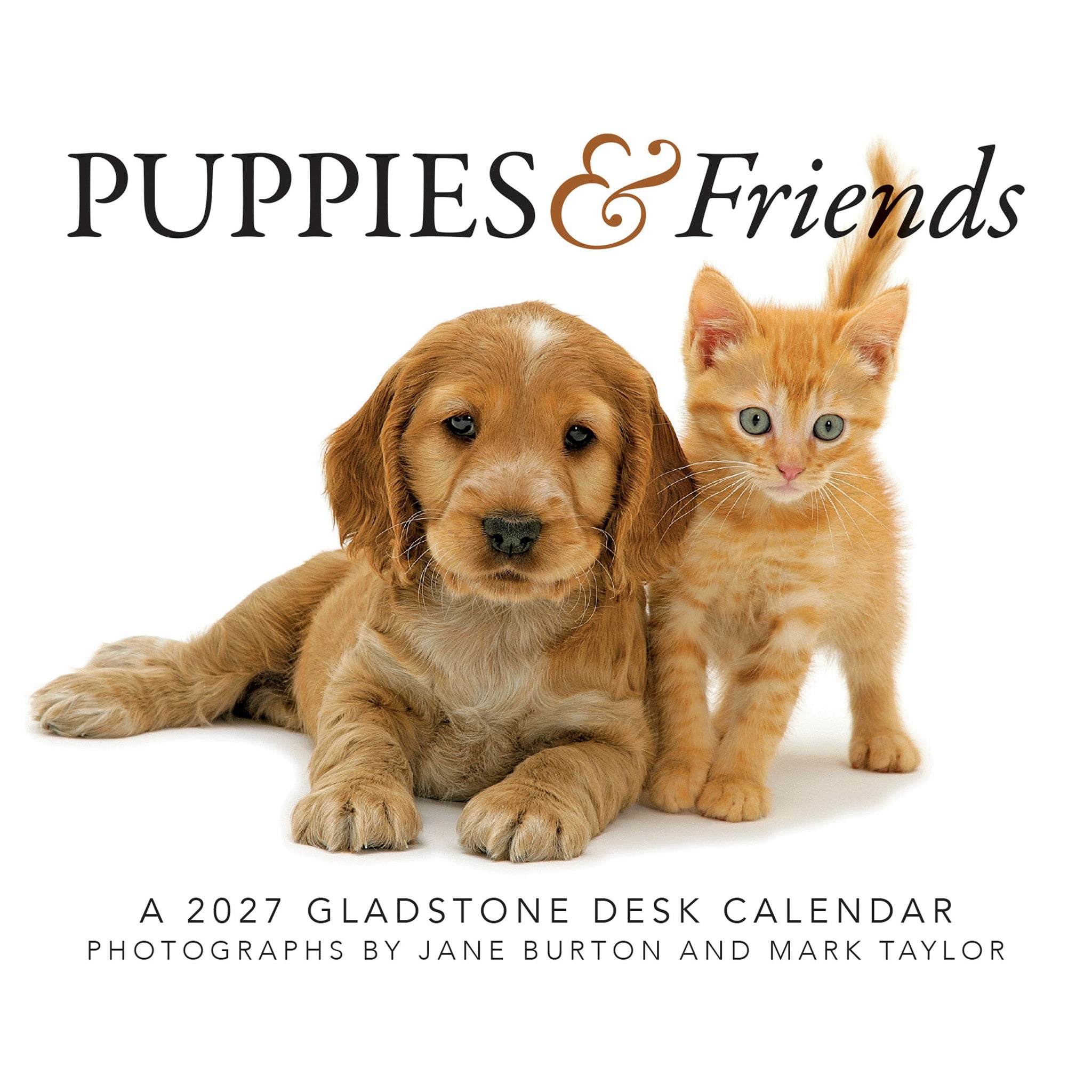 Puppies and Friends 2027 Box Calendar