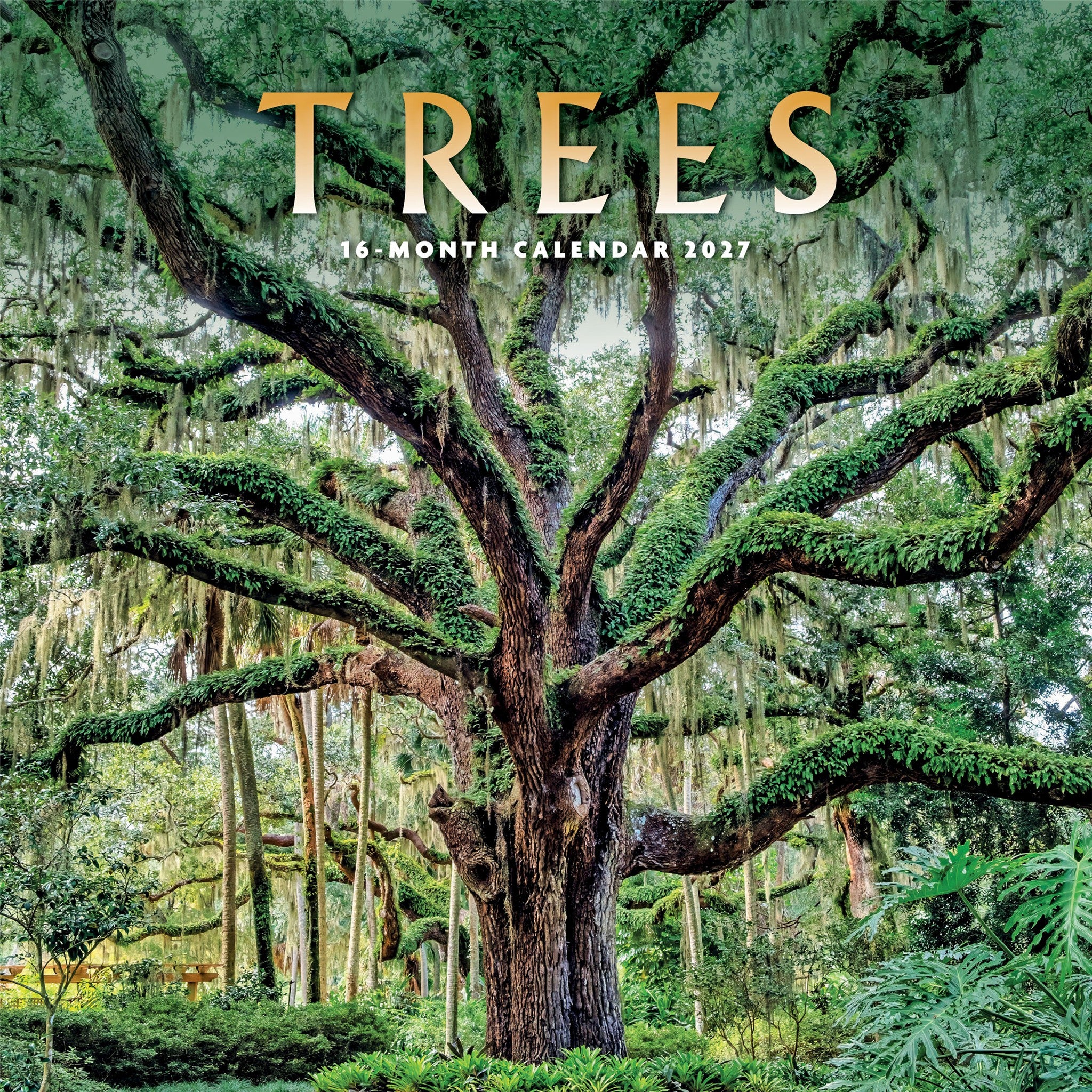 Trees 2027 Wall Calendar