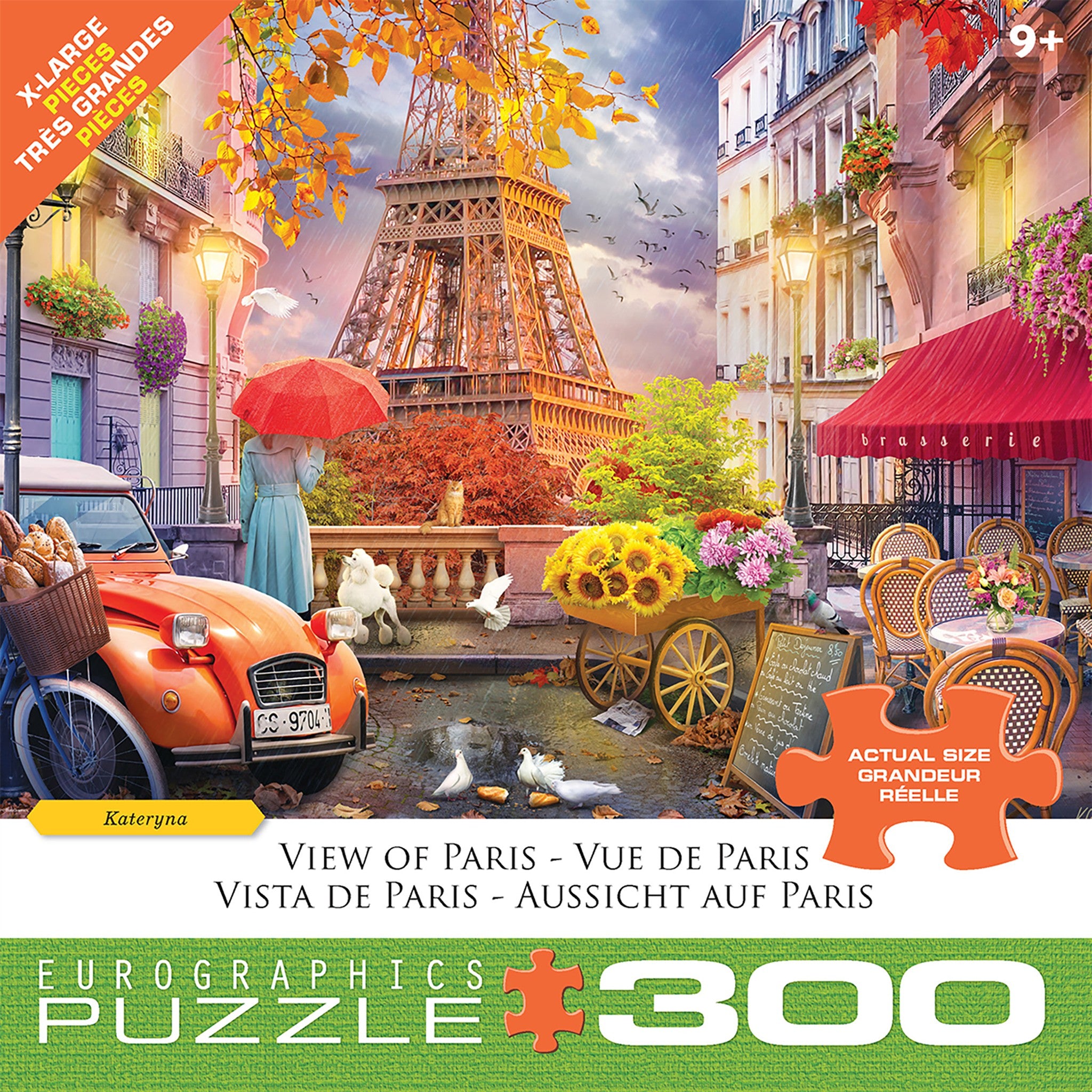 View of Paris 300 Piece Puzzle