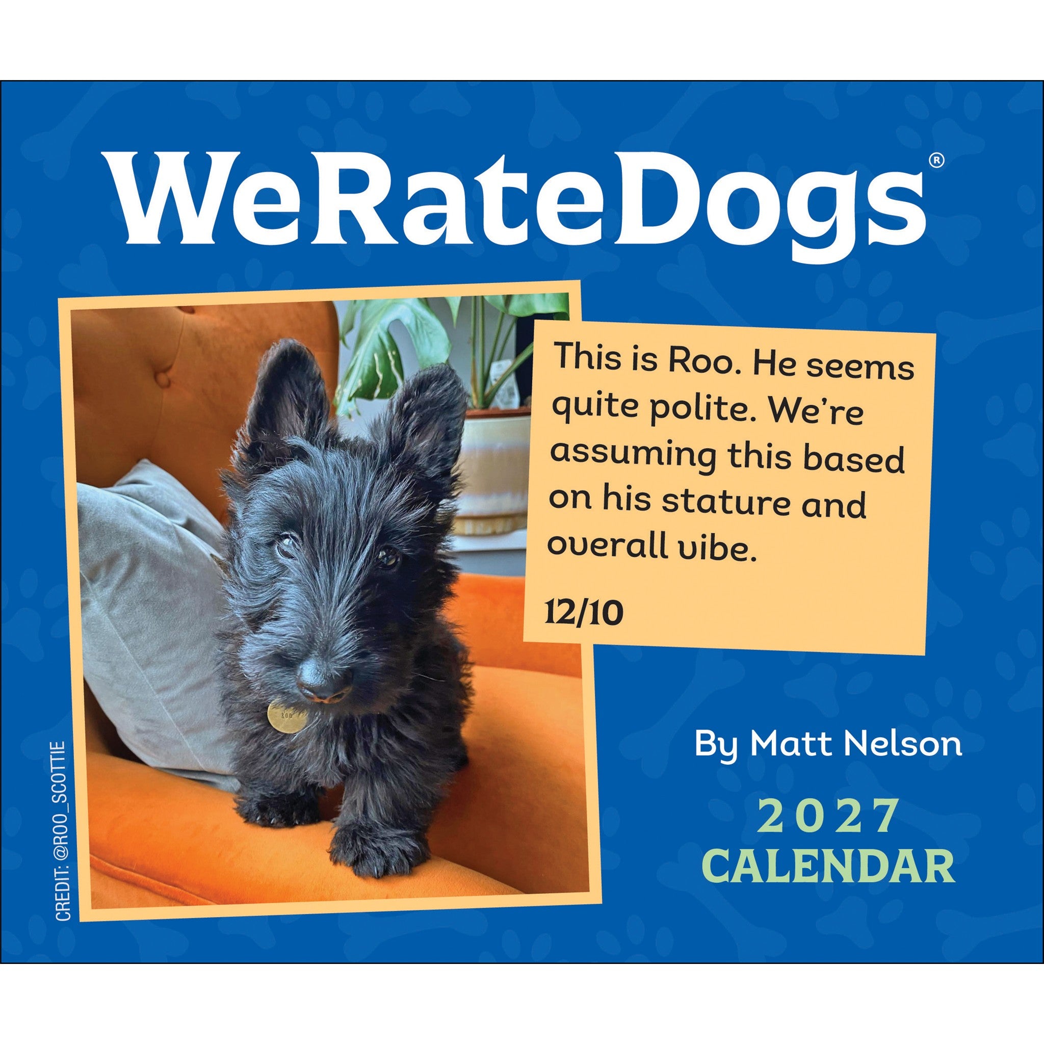WeRateDogs 2027 Box Calendar