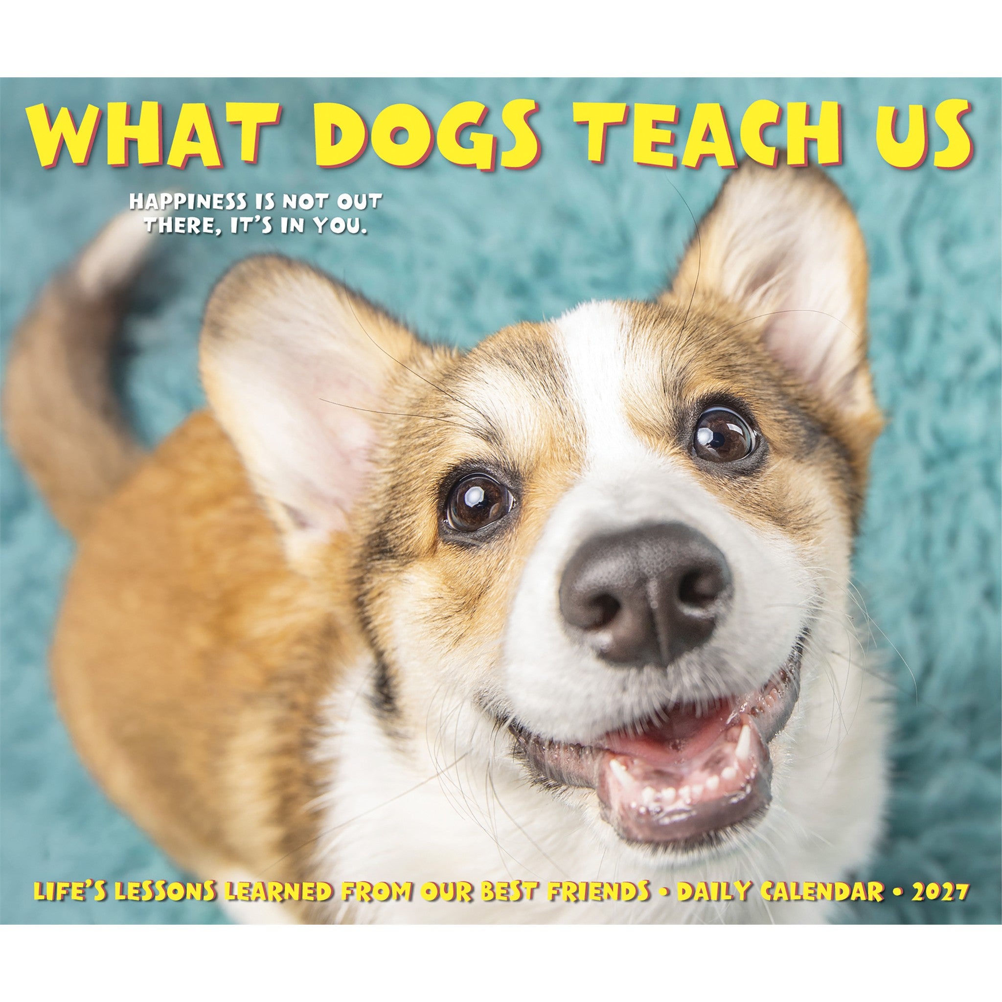What Dogs Teach Us 2027 Box Calendar