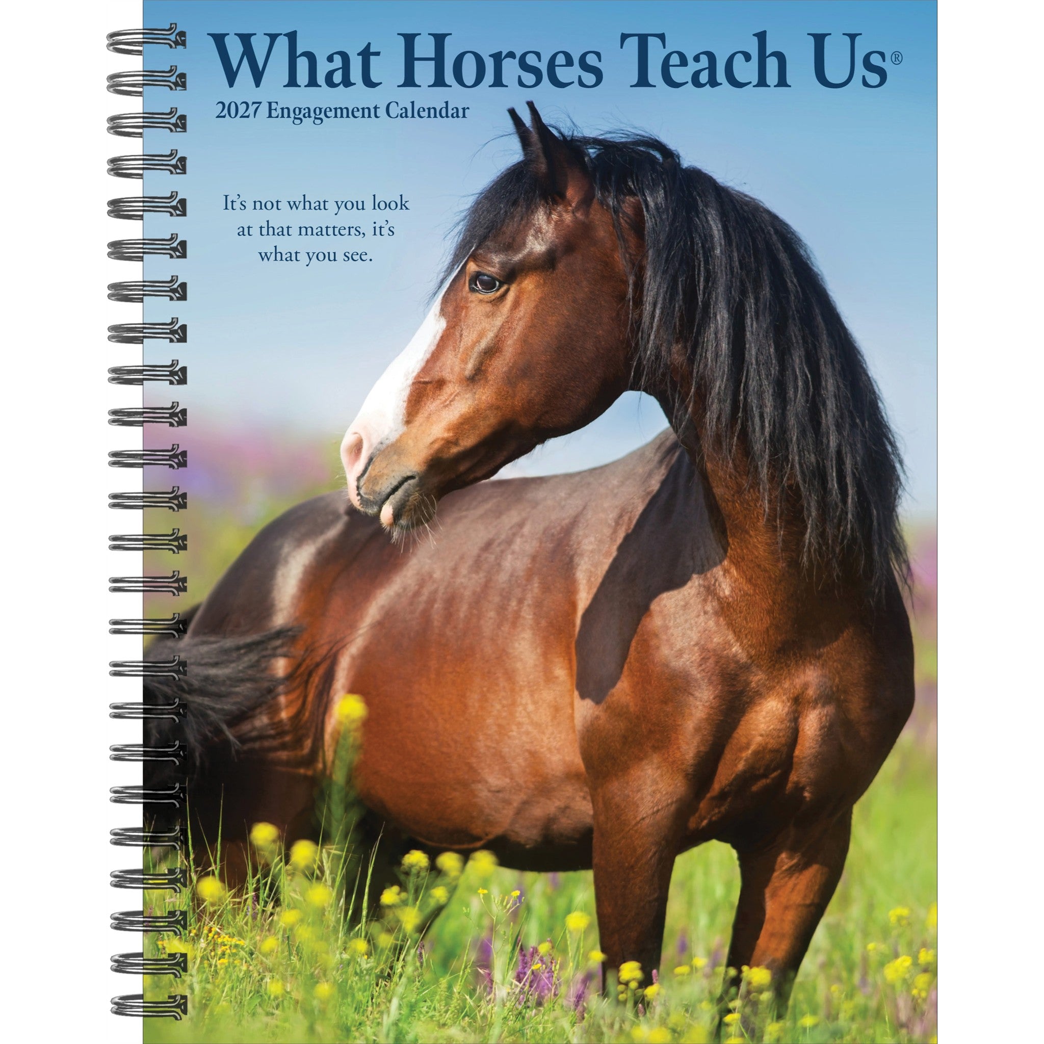 What Horses Teach Us 2027 Engagement Calendar