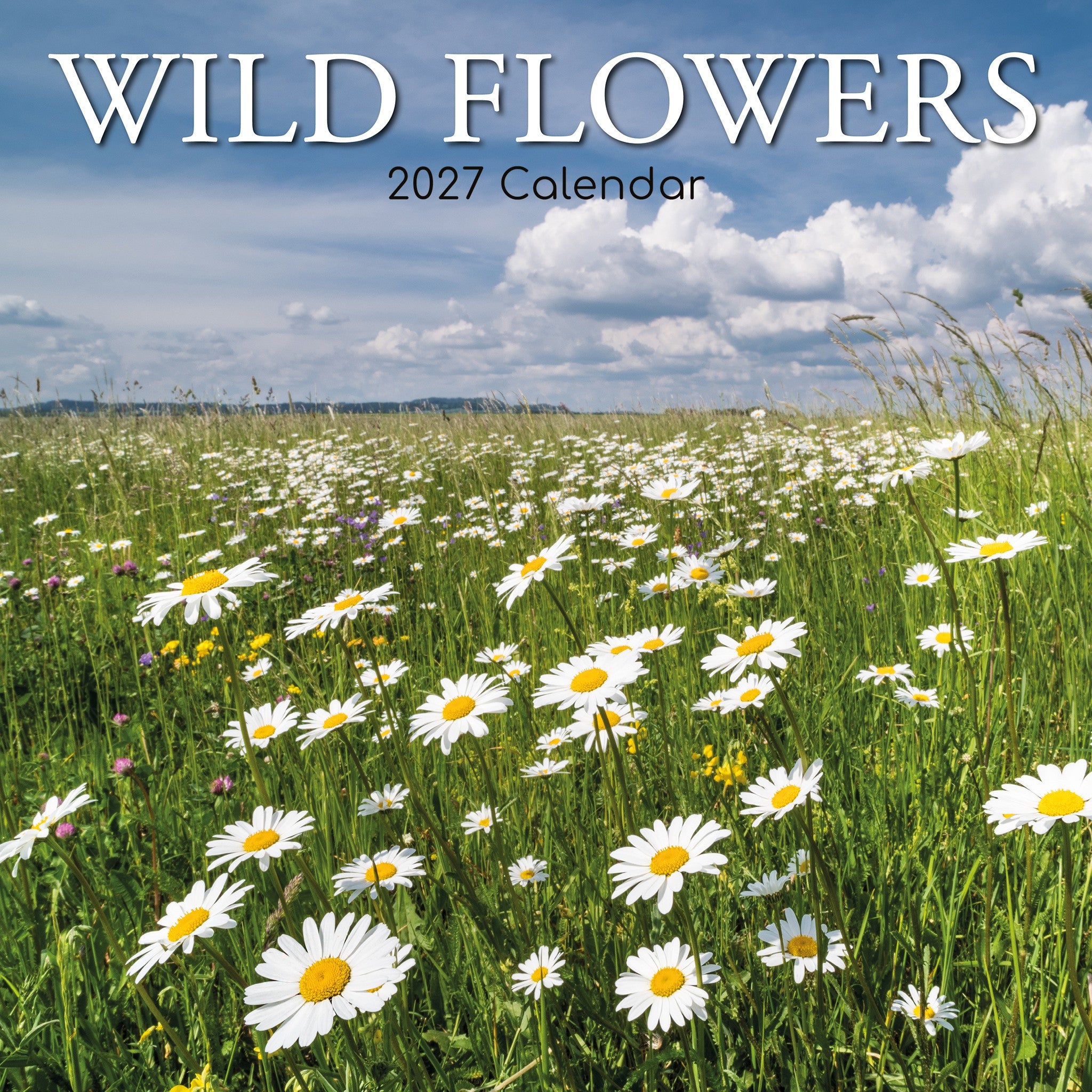 Wildflowers 2027 Wall Calendar