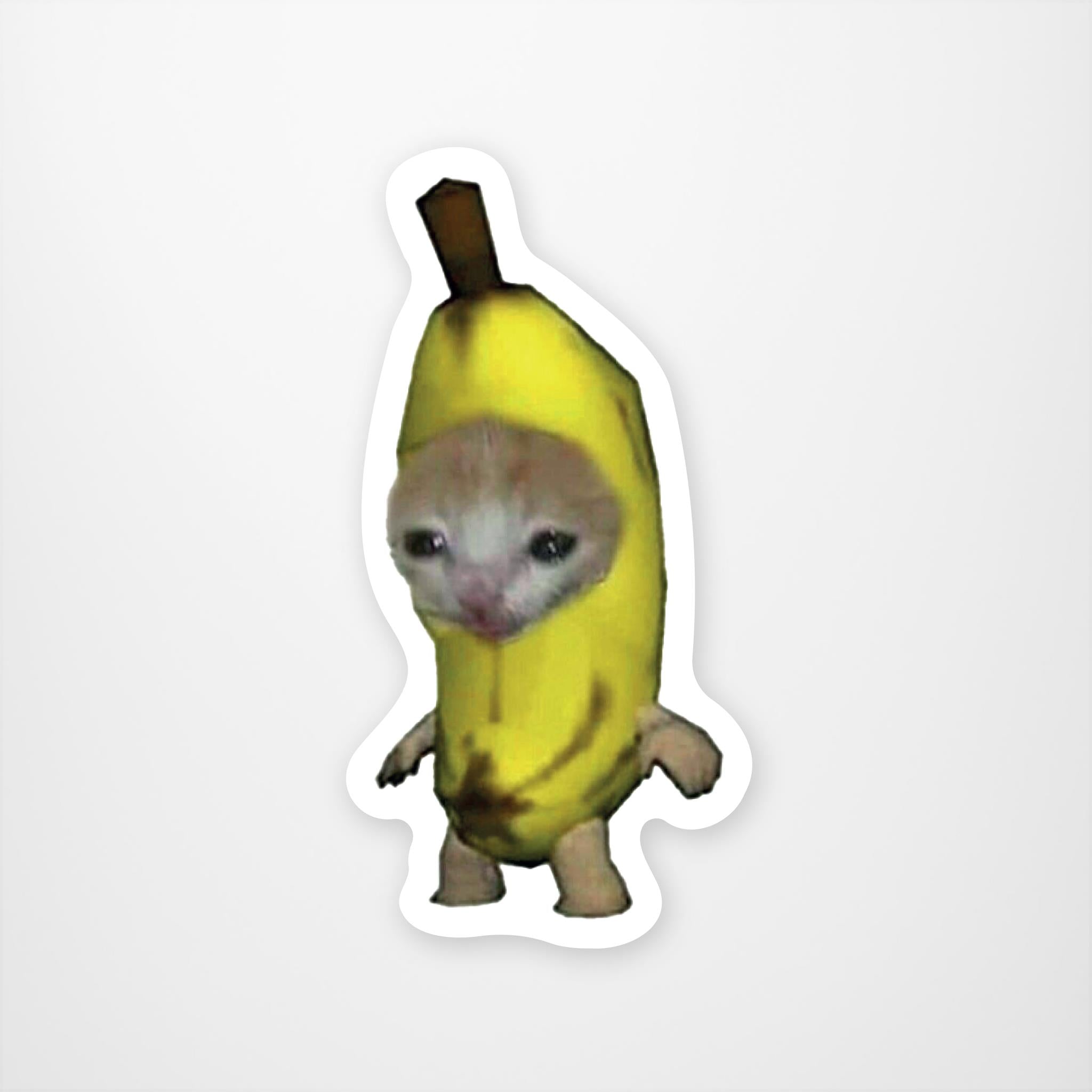 Kitten face, arms and legs depicted in a banana