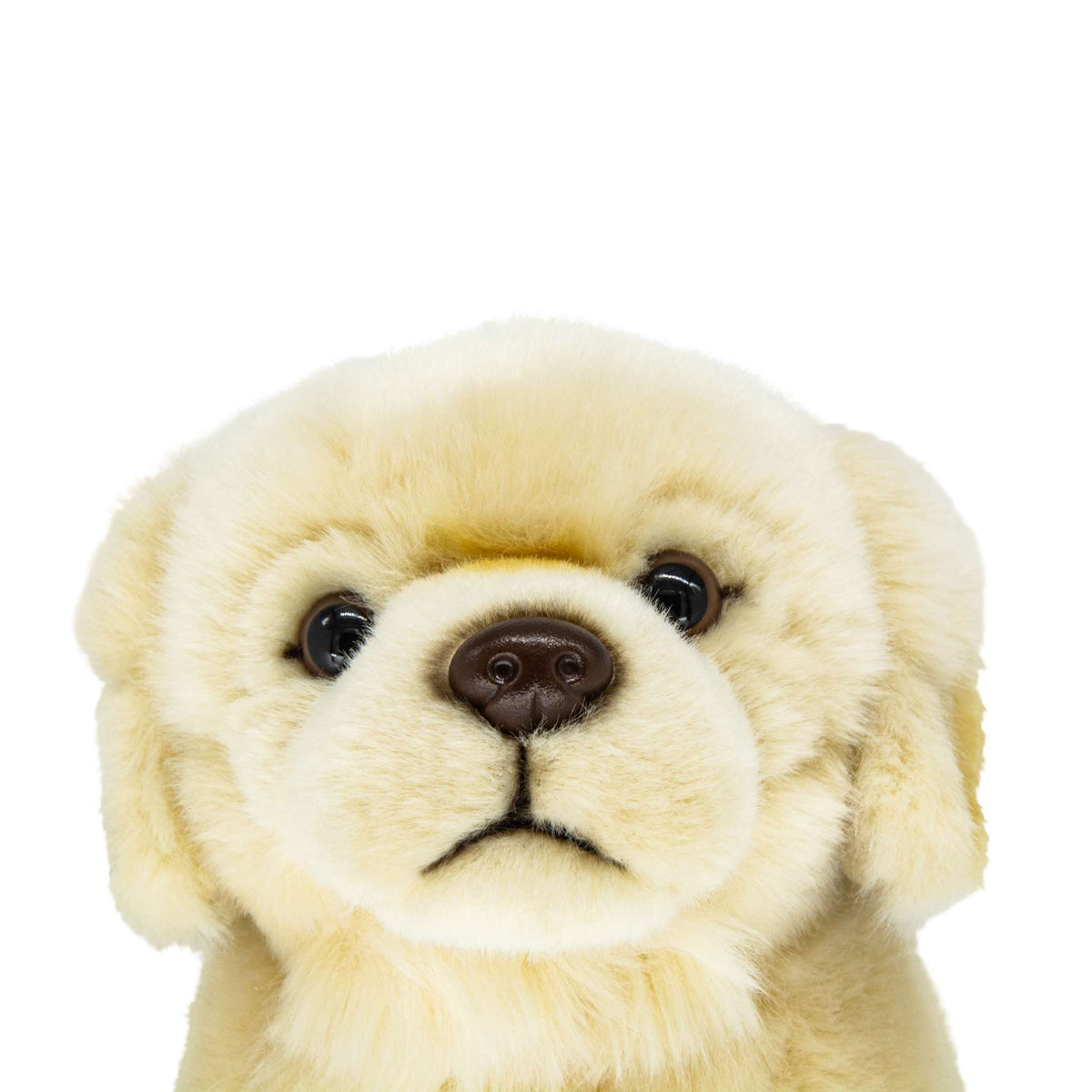 Golden Retriever 10in Plush