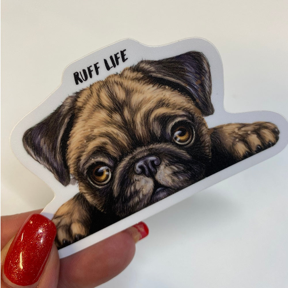 Ruff Life Pug Peeker Vinyl Sticker