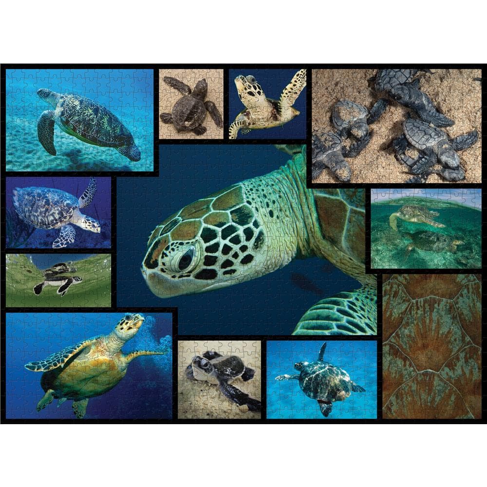WWF Sea Turtles Product Image