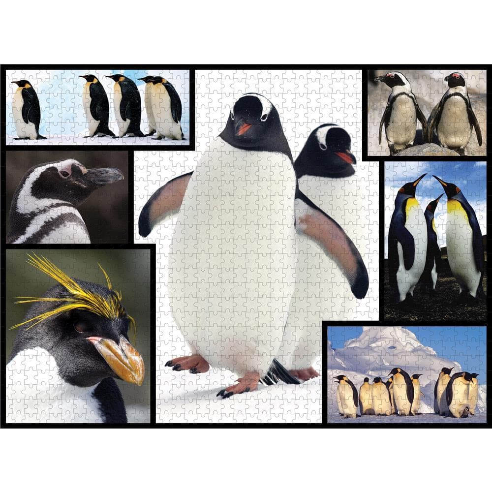 WWF Penguins Product Image