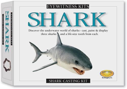 Eyewitness Kits Shark - Calendar Club of Canada