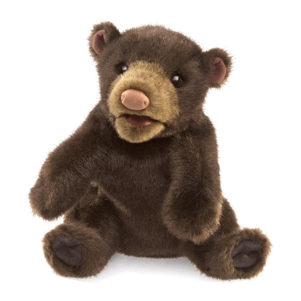 Small Black Bear