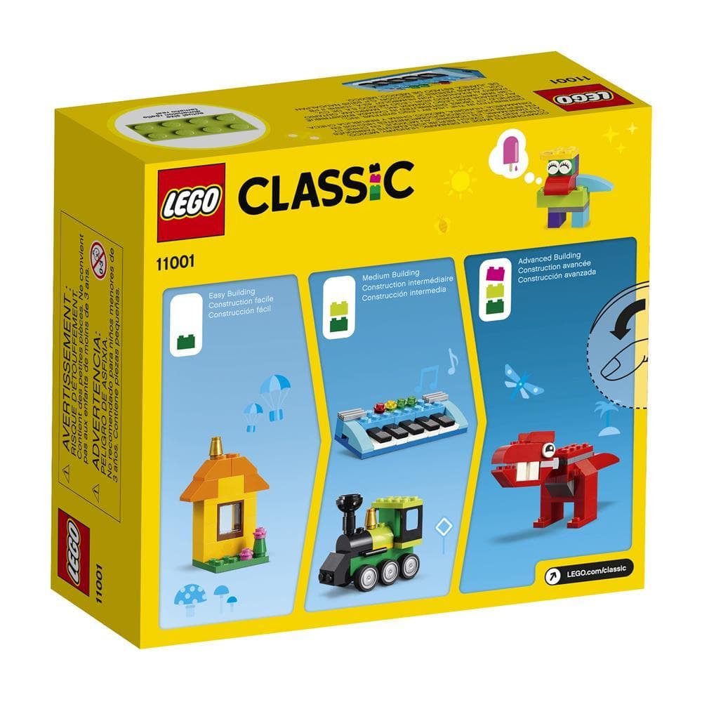 Classic Bricks and Ideas Back Product Image