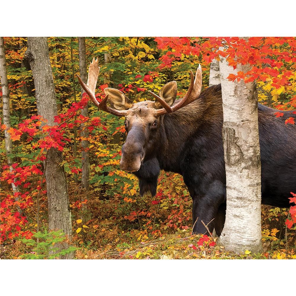 Autumn King Jigsaw Puzzle (500 Piece) product image