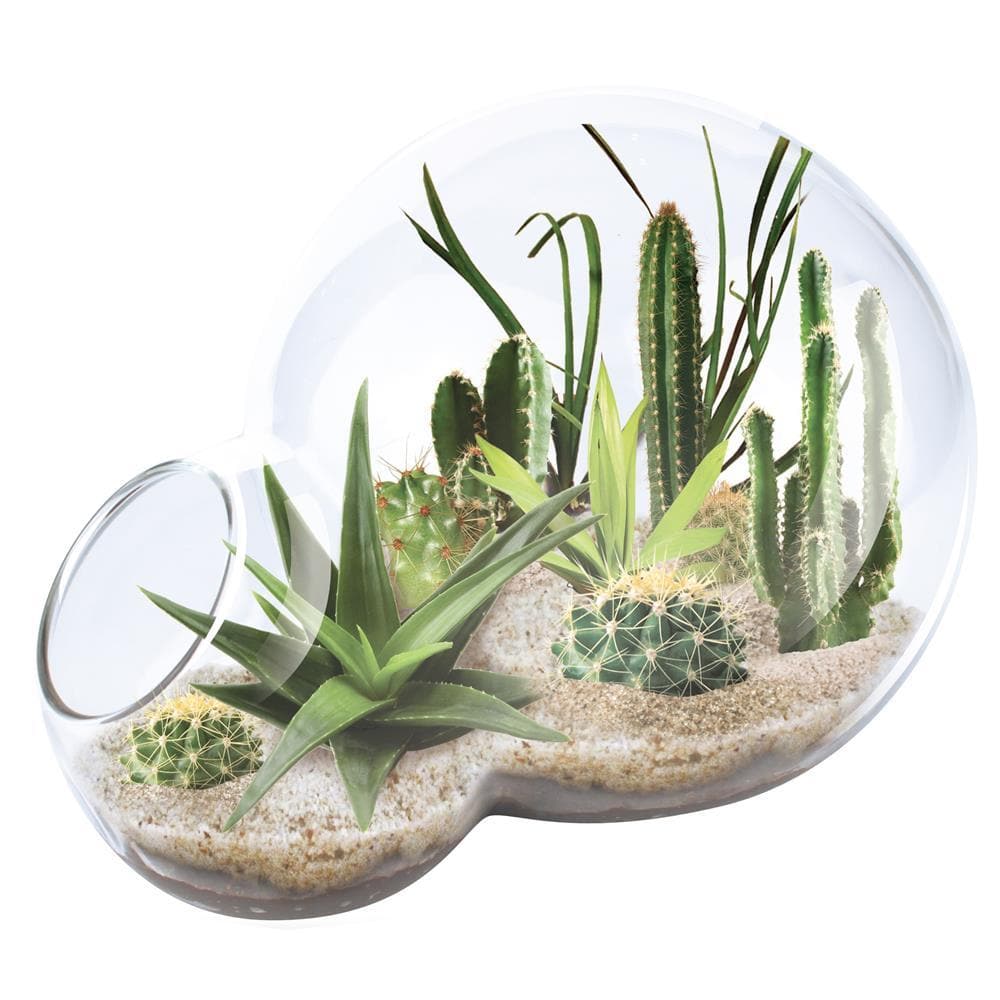 Desert Escape Growarium product image