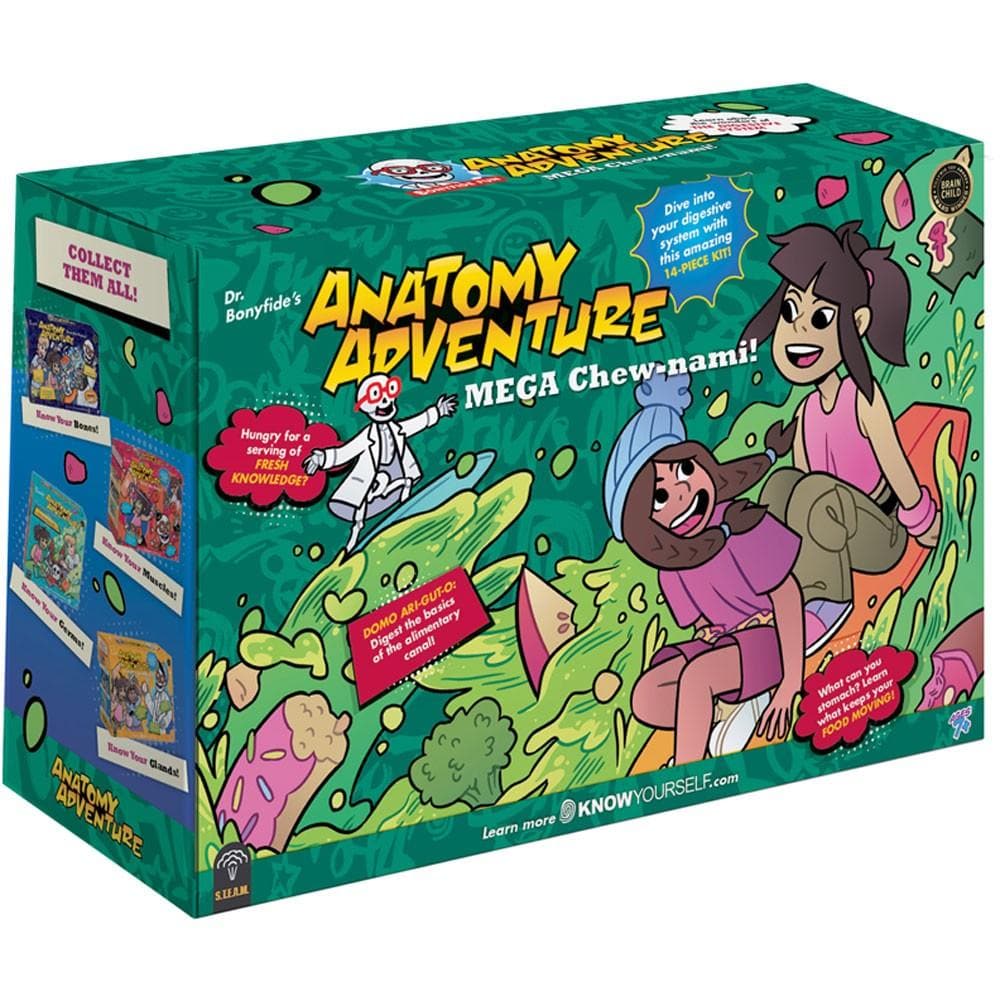 Anatomy Adventure product image