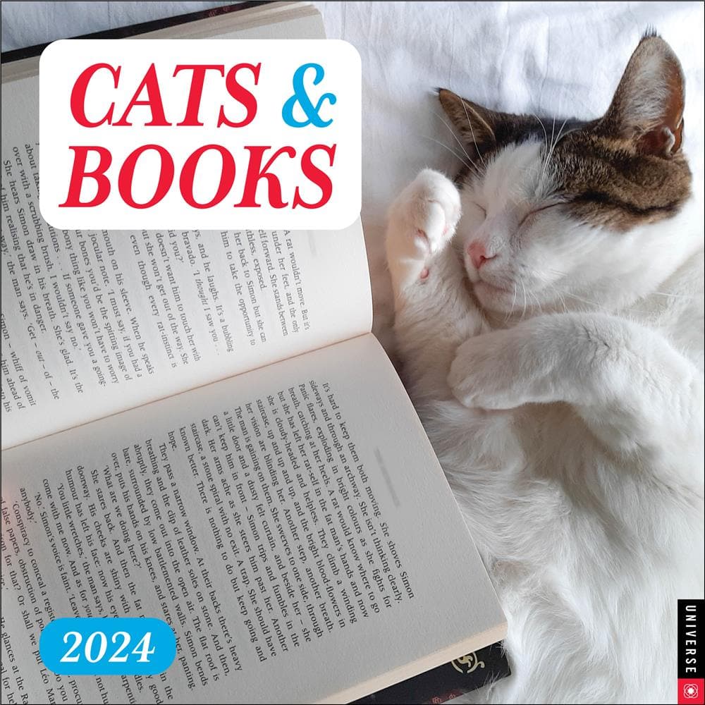 Cats and Books 2024 Wall Calendar product image