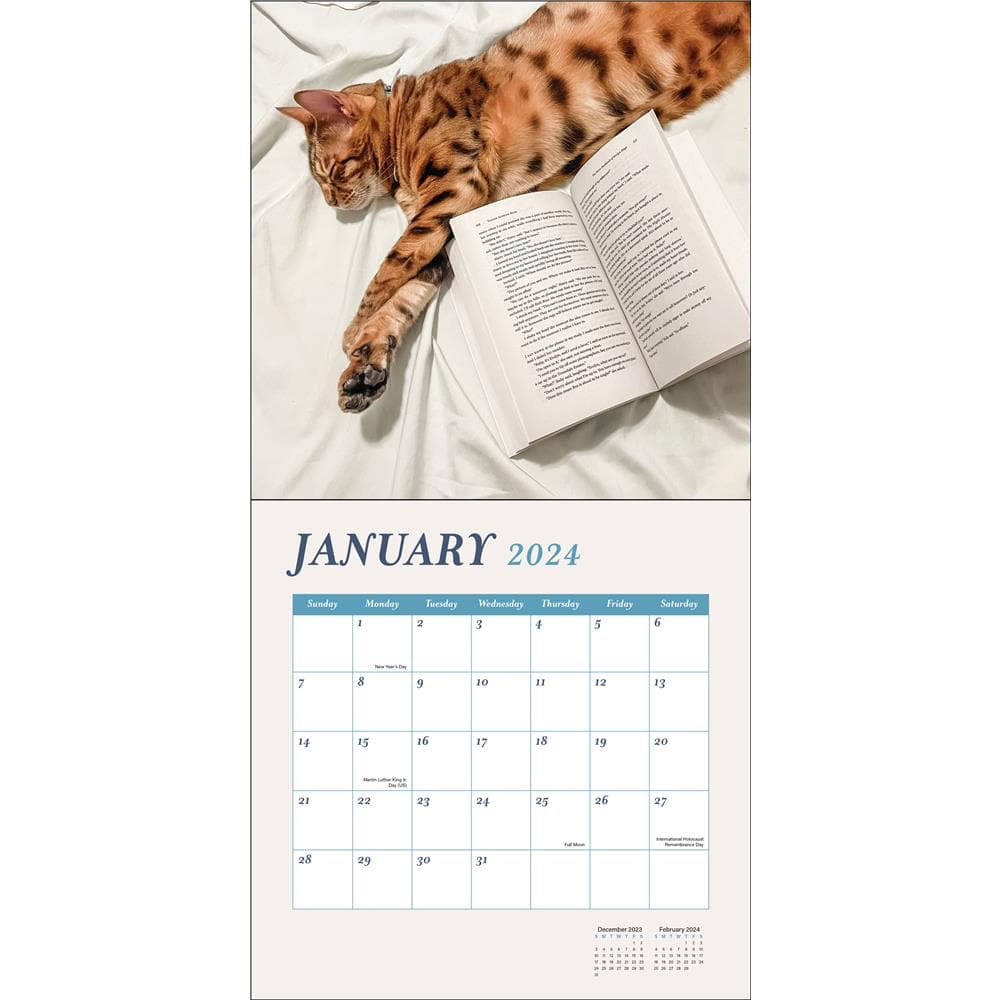 Cats and Books 2024 Wall Calendar product image