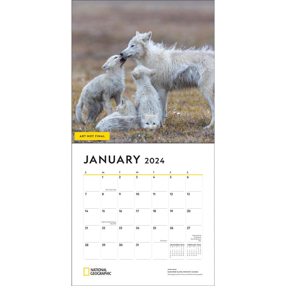 Wolves NG 2024 Wall Calendar product image