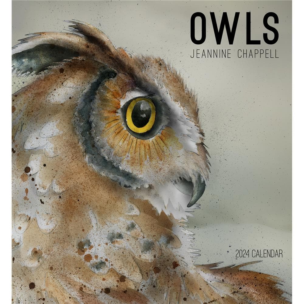 Owls Jeannine Chappell 2024 Wall Calendar product image