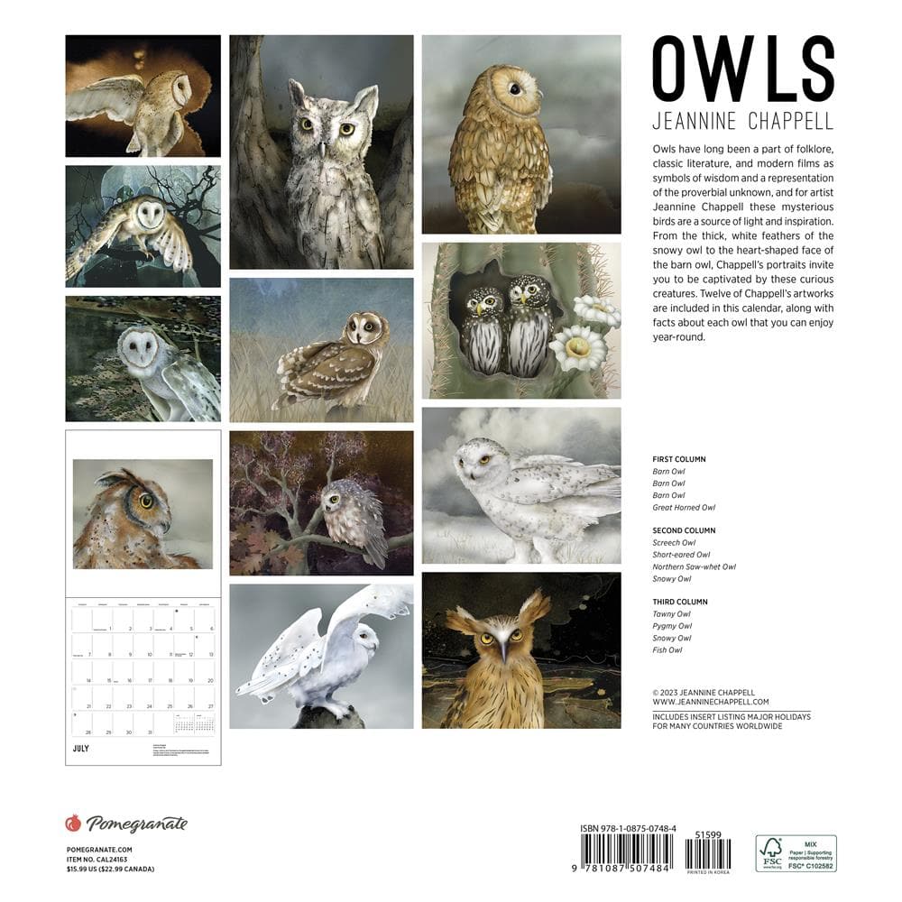 9781087507484 Owls Jeannine Chappell 2024 Wall Calendar