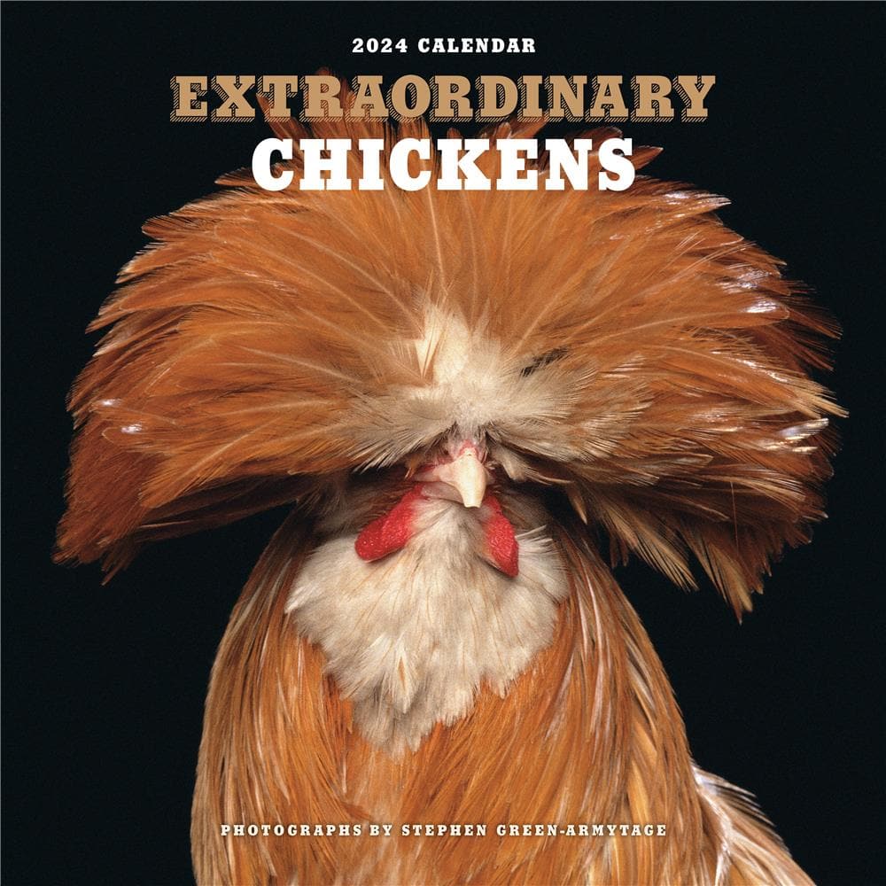 Extraordinary Chickens 2024 Wall Calendar product image
