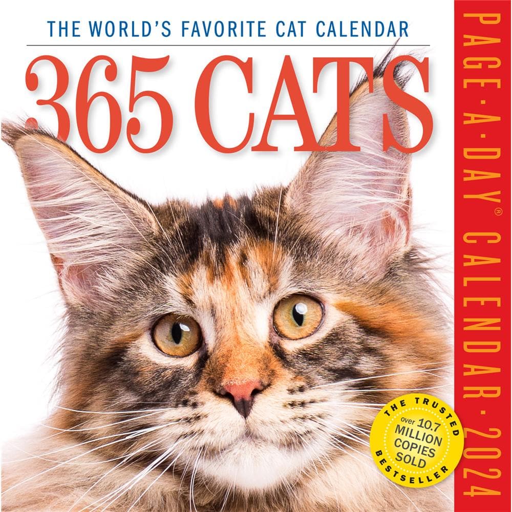 Cats 365 2024 Box Calendar product image