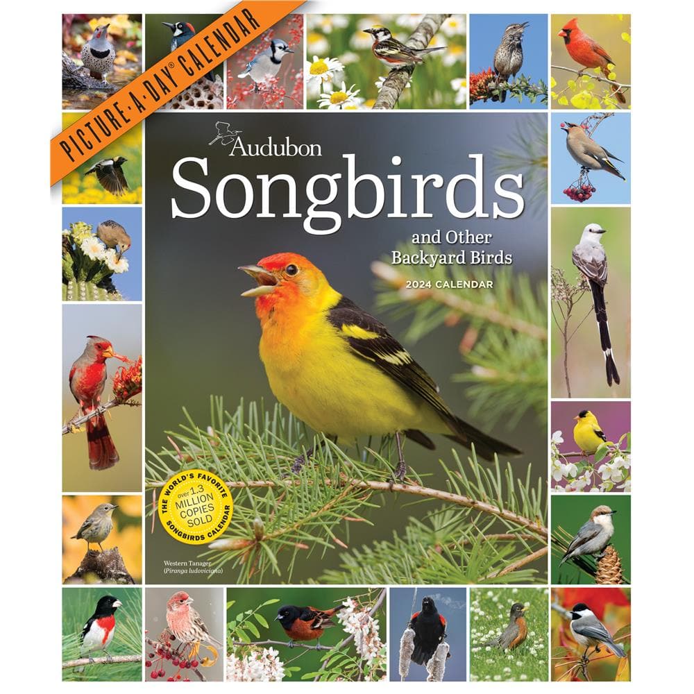 Audubon Songbirds 365 Wall product image
