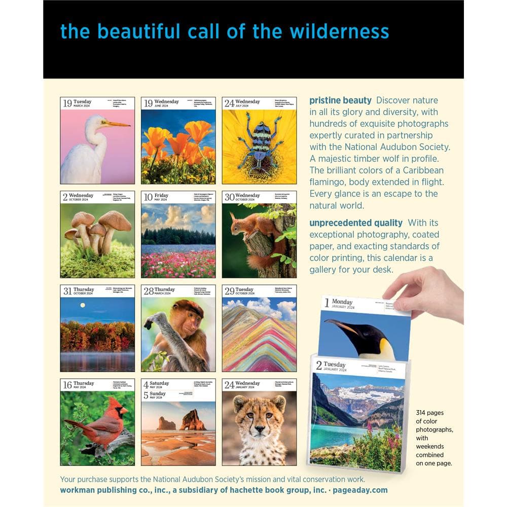 Audubon Nature Gallery Box product image