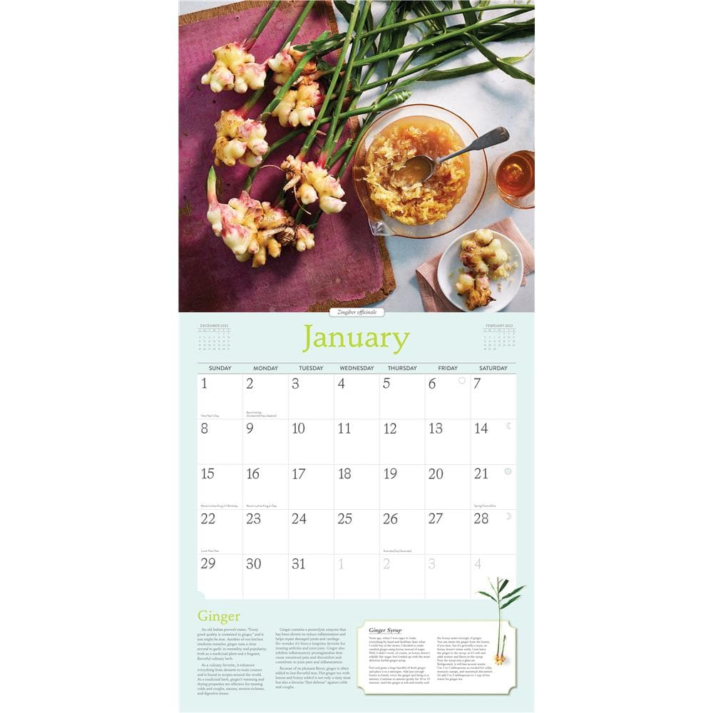 Herbs 2024 Wall Calendar product image