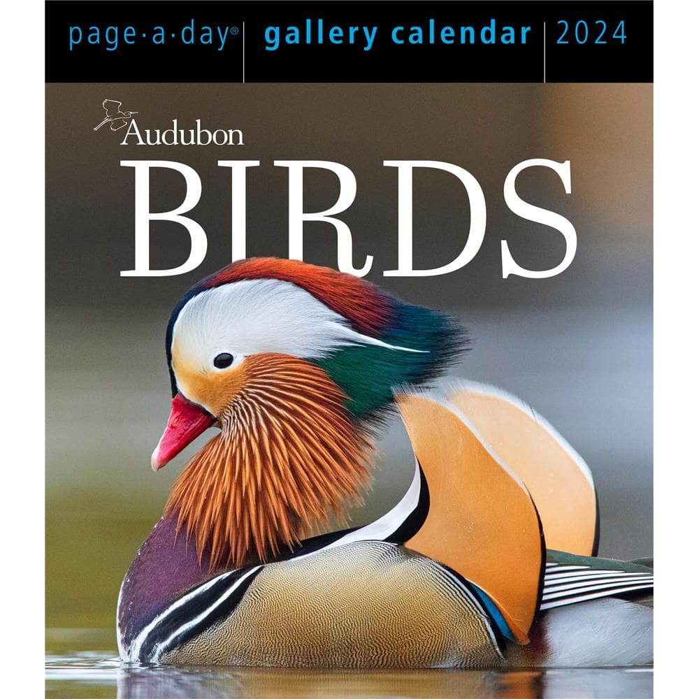 Audubon Birds Gallery 2024 Box Calendar  product image