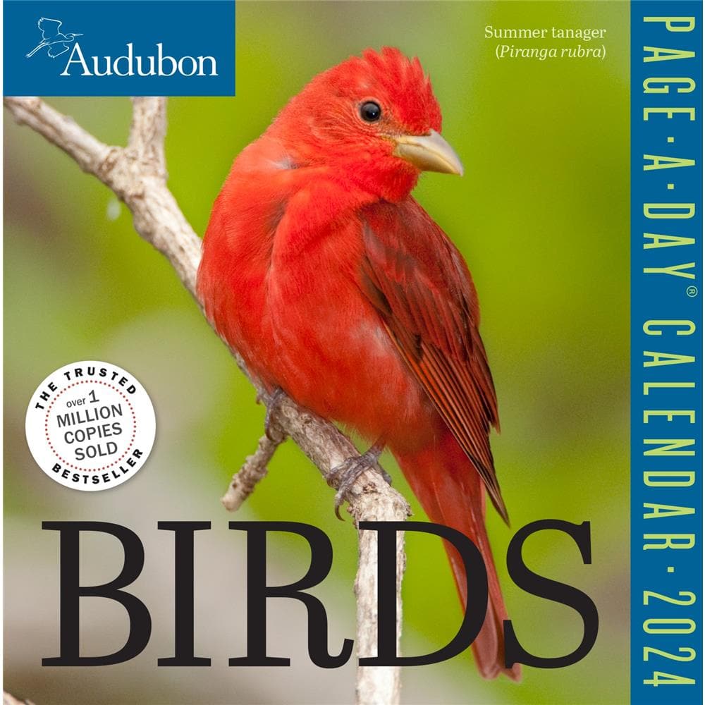 Audubon Birds 2024 Box Calendar product image