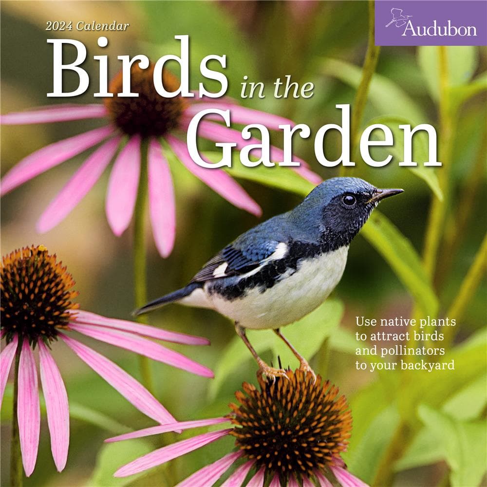 Audubon Birds in the Garden 2024 Wall Calendar  product image