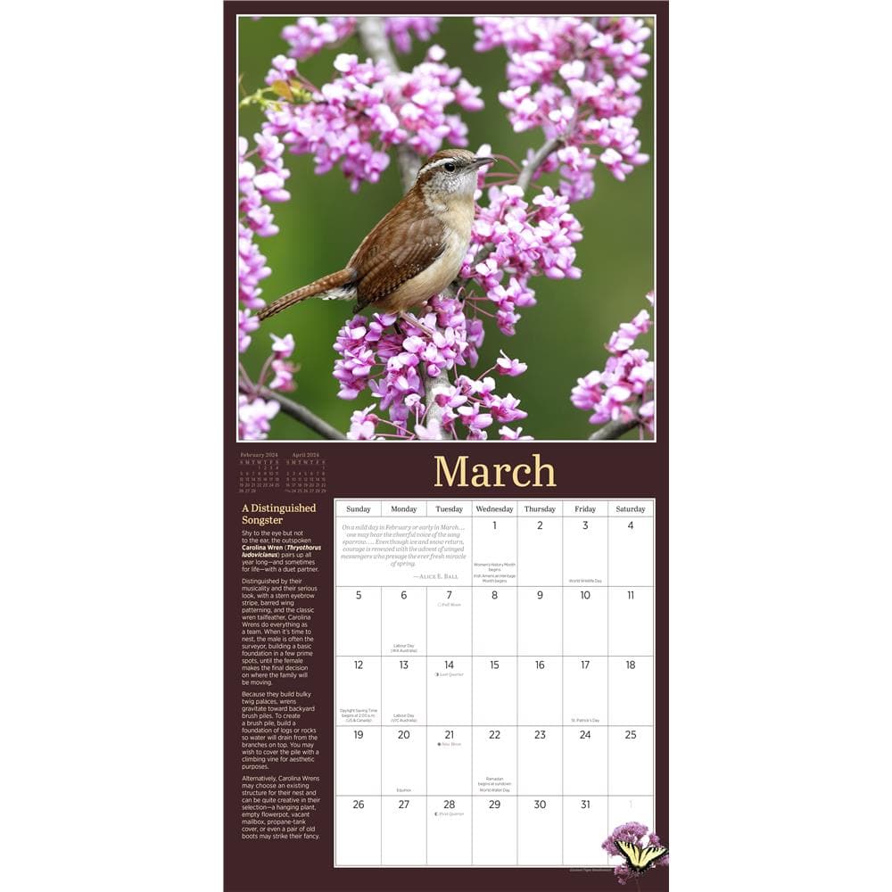 Audubon Birds in the Garden 2024 Wall Calendar  product image