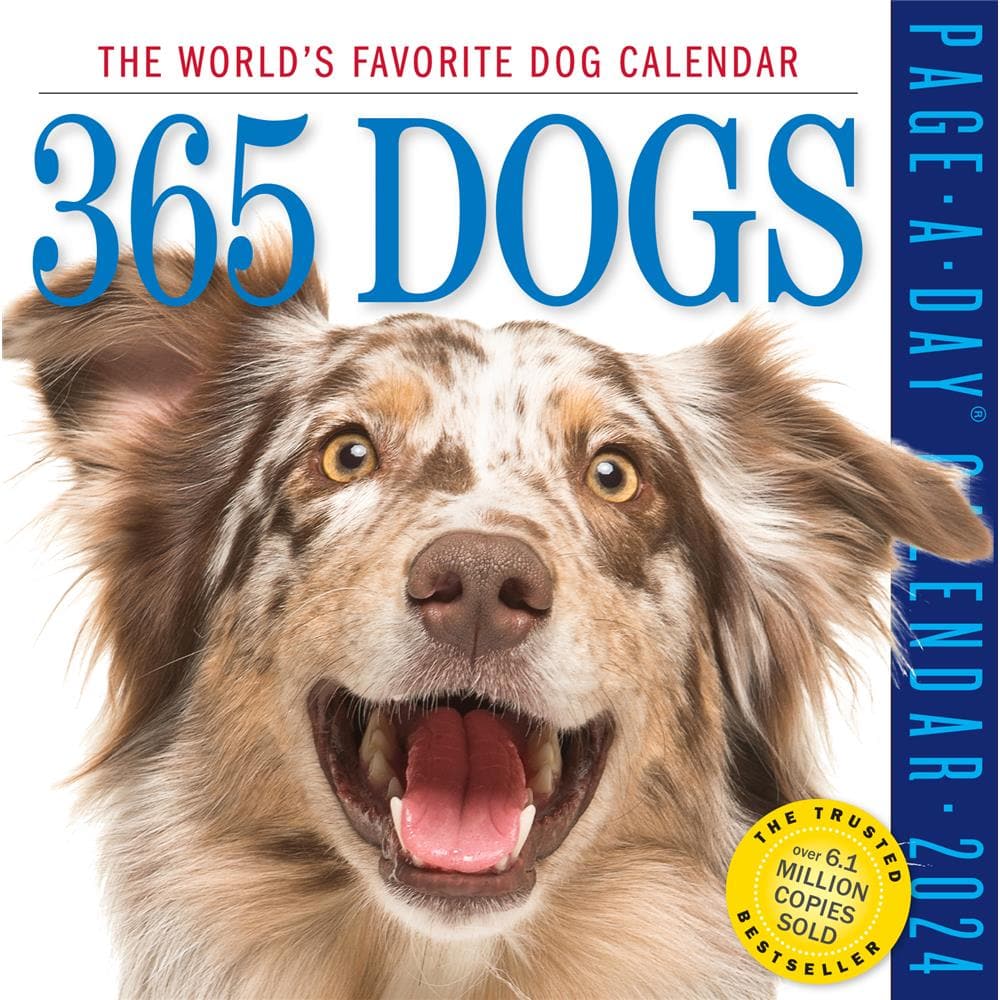 Dogs 365 2024 Box Calendar product Image