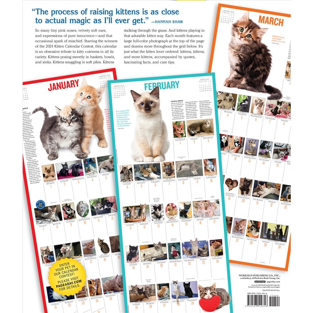 Kittens 365 2024 Wall Calendar product image