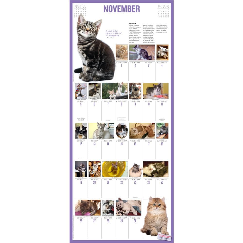 Kittens 365 2024 Wall Calendar product image