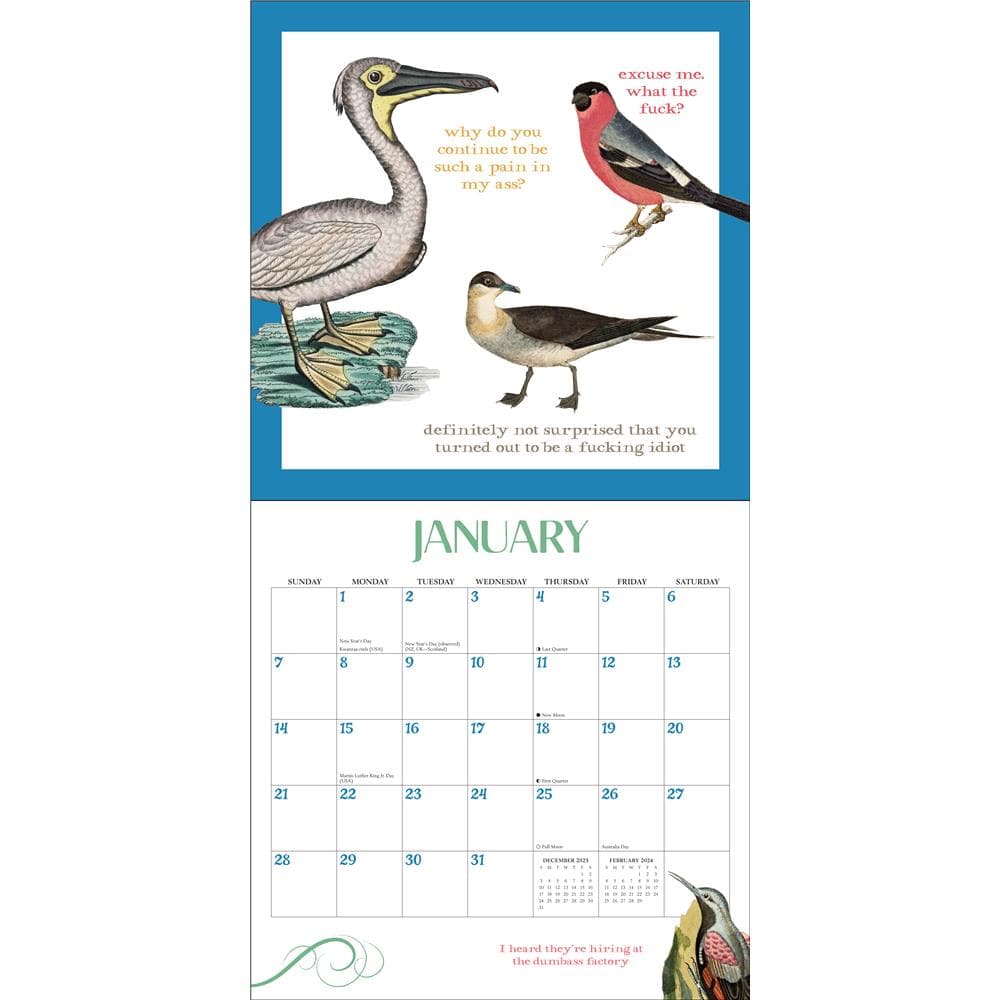 Effin Birds 2024 Wall Calendar product image