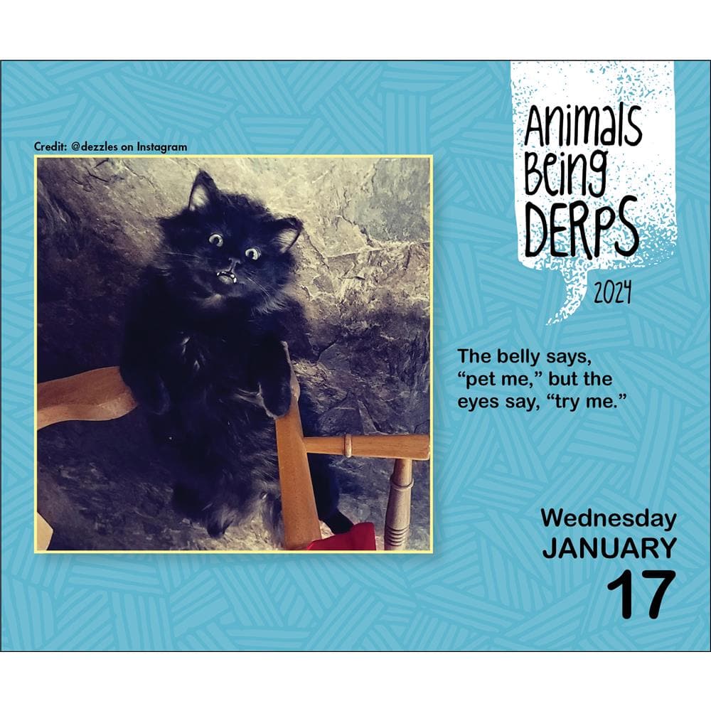 Animals Being Derps 2024 Box Calendar product image
