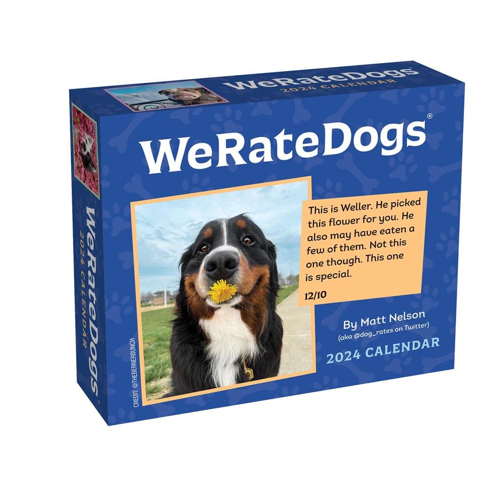 We Rate Dogs 2024 Box Calendar product image